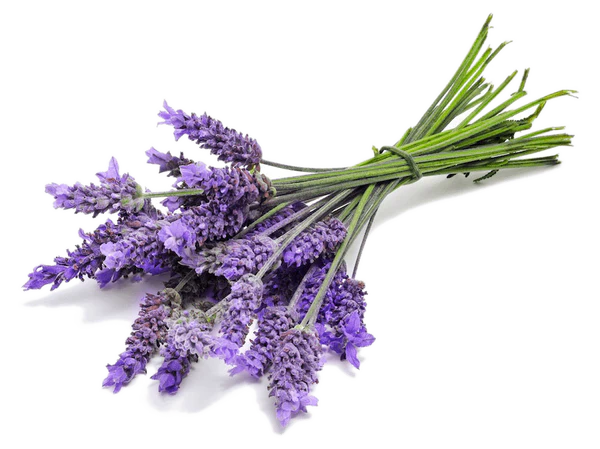Lavender Oil Pure 1kg