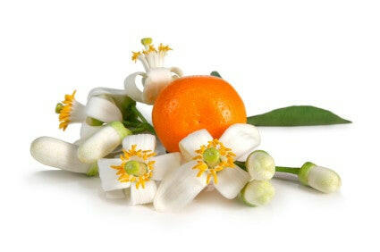 Orange Blossom Absolute Oil 1kg