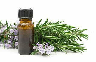 Rosemary Oil 5kg