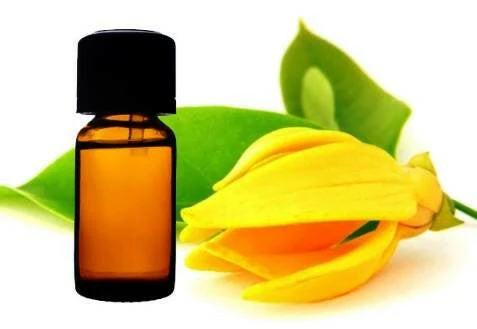 Ylang Ylang Oil 5kg